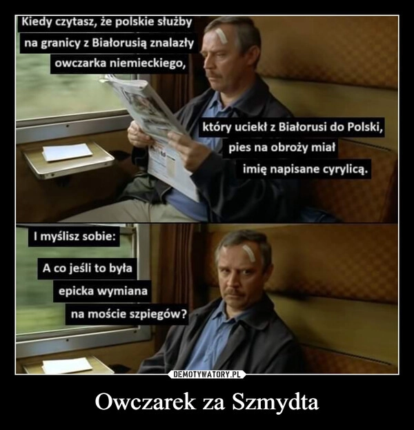 
    Owczarek za Szmydta