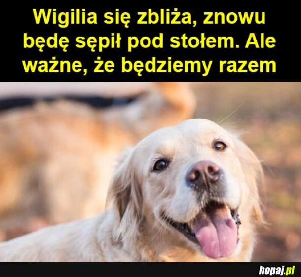 
    Dla nich to też czas wyżerki