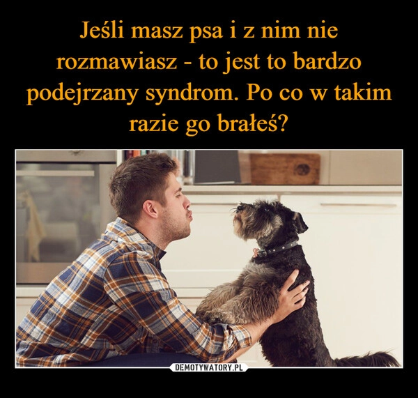 
    Jeśli masz psa i z nim nie rozmawiasz - to jest to bardzo podejrzany syndrom. Po co w takim razie go brałeś?