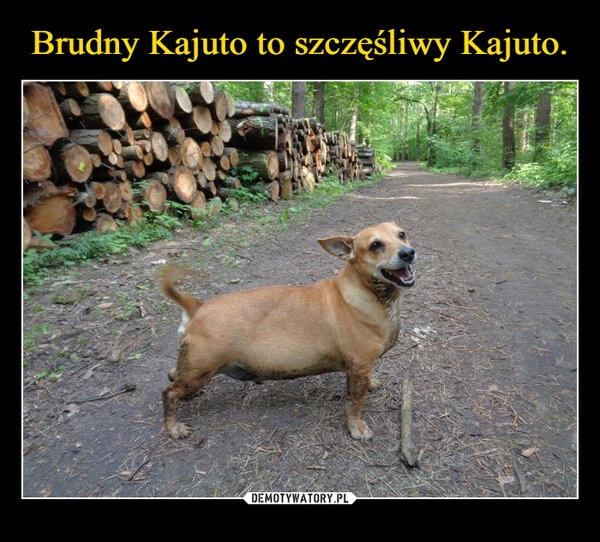 
    Brudny Kajuto to szczęśliwy Kajuto.