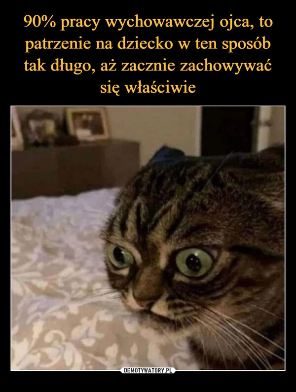 
    90% pracy wychowawczej ojca, to patrzenie na dziecko w ten sposób tak długo, aż zacznie zachowywać się właściwie 