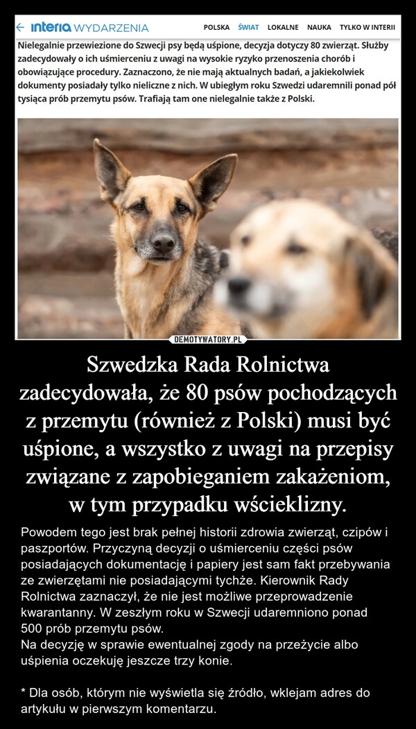 
    Szwedzka Rada Rolnictwa zadecydowała, że 80 psów pochodzących z przemytu (również z Polski) musi być uśpione, a wszystko z uwagi na przepisy związane z zapobieganiem zakażeniom, w tym przypadku wścieklizny.