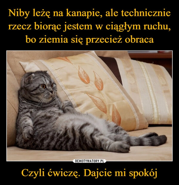 
    Niby leżę na kanapie, ale technicznie rzecz biorąc jestem w ciągłym ruchu, bo ziemia się przecież obraca Czyli ćwiczę. Dajcie mi spokój