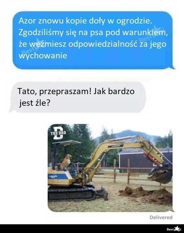 
    Niegrzeczny Azor 