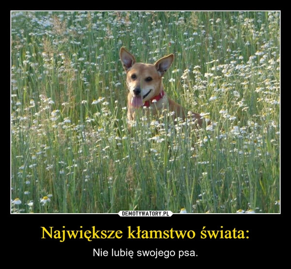 
    Największe kłamstwo świata: