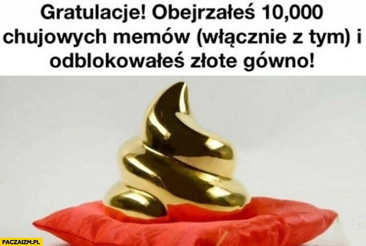 
    Gratulacje obejrzałeś 10000 kijowych memów włącznie z tym i odblokowałeś złote gówno kupa