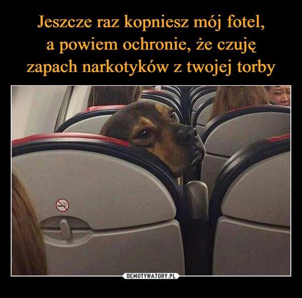 
    Jeszcze raz kopniesz mój fotel,
a powiem ochronie, że czuję
zapach narkotyków z twojej torby