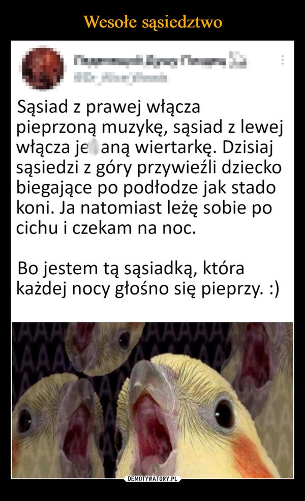 
    Wesołe sąsiedztwo