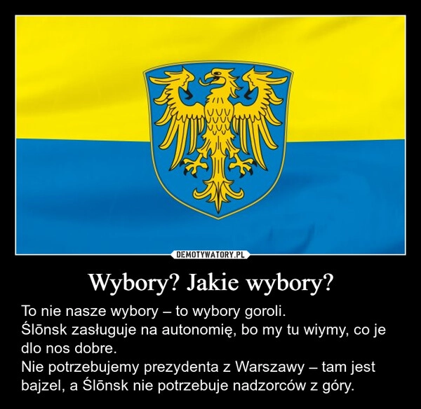 
    Wybory? Jakie wybory?