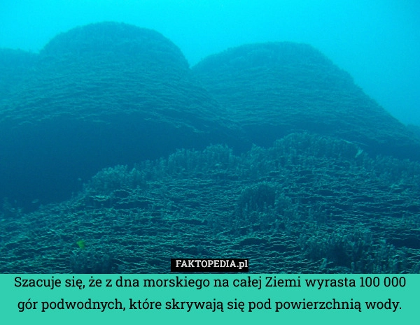
    Szacuje się, że z dna morskiego na całej Ziemi wyrasta 100 000 gór podwodnych,