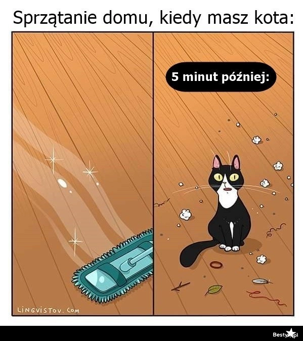 
    Nie może być czysto 