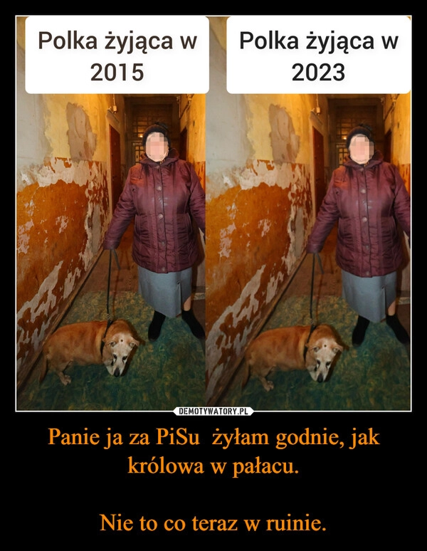 
    Panie ja za PiSu  żyłam godnie, jak królowa w pałacu.

Nie to co teraz w ruinie.