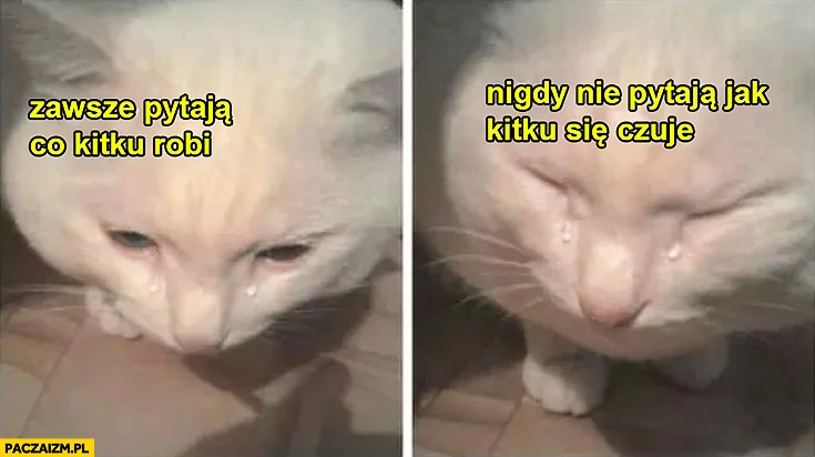 
    Zawsze pytają co kitku robi, nigdy nie pytają jak kitku się czuje. Smutny kot płacze