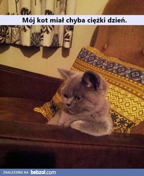 
    Ciężki dzień