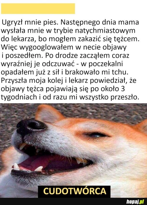 
    Lekarz cudotwórca