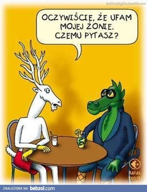 Rogacz