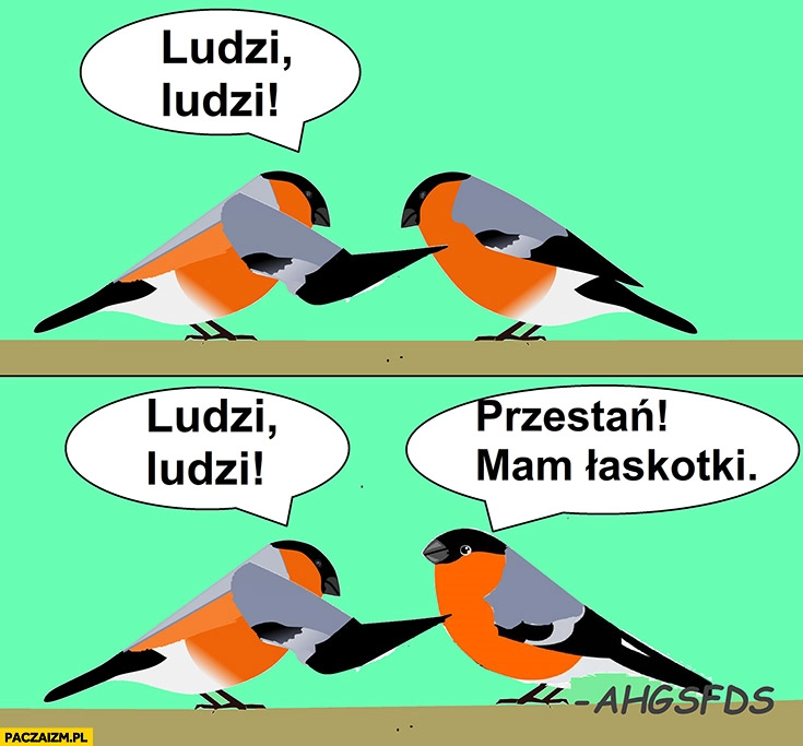 
    Ludzi ludzi, gili gili, przestań mam łaskotki ptaki gile łaskoczą się ahgsfds