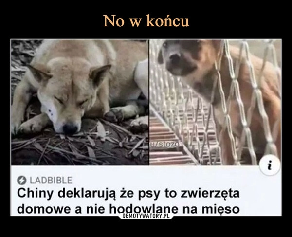 
    No w końcu