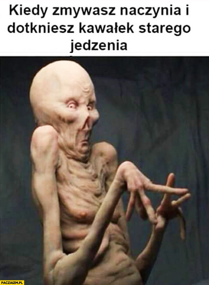 Kiedy zmywasz naczynia i dotkniesz kawałek starego jedzenia