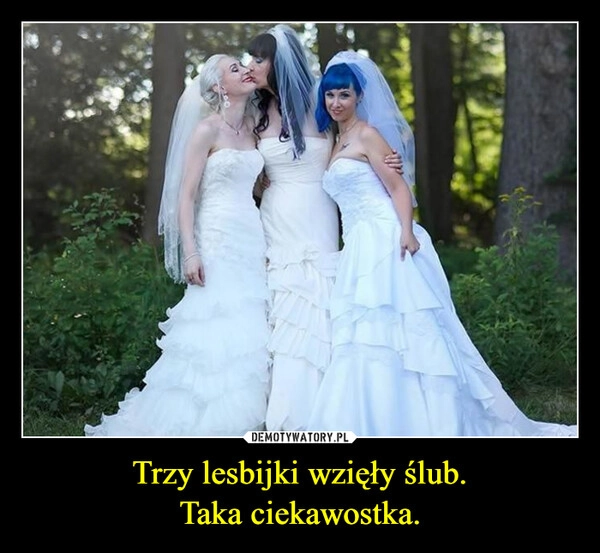 
    Trzy lesbijki wzięły ślub.
Taka ciekawostka.