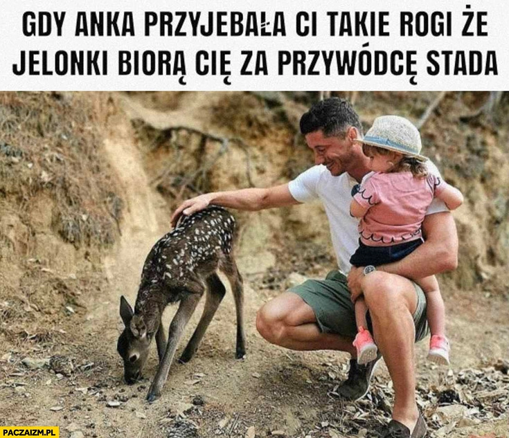 
    Lewandowski gdy Anka dorobiła ci takie rogi, że jelonki biorą cię za przywódcę stada