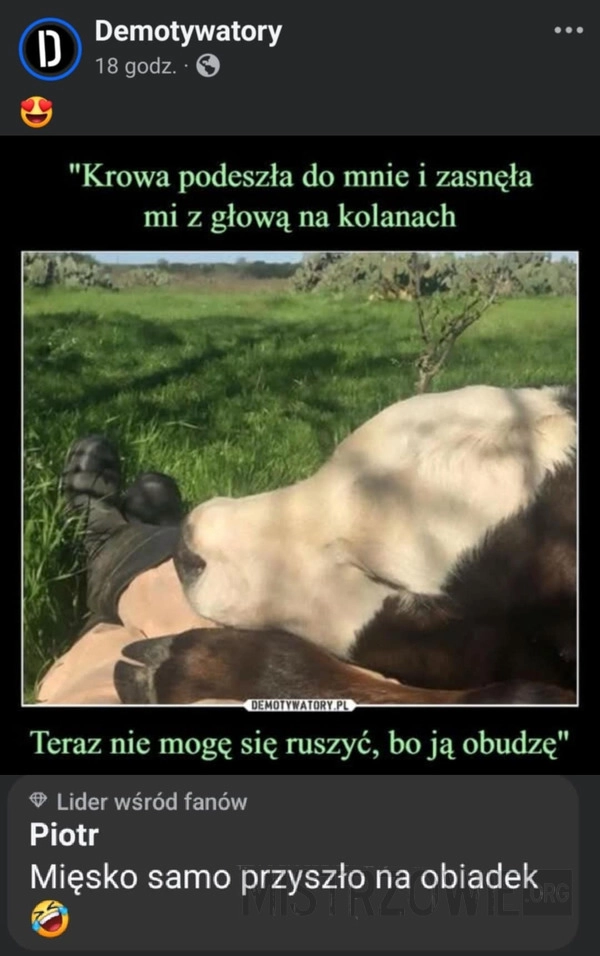 
    Bo ją obudzę...