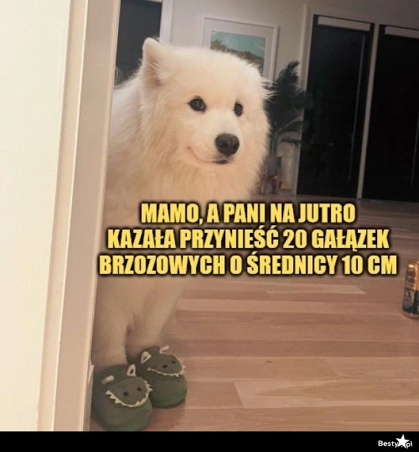 
    Przypomniało się 