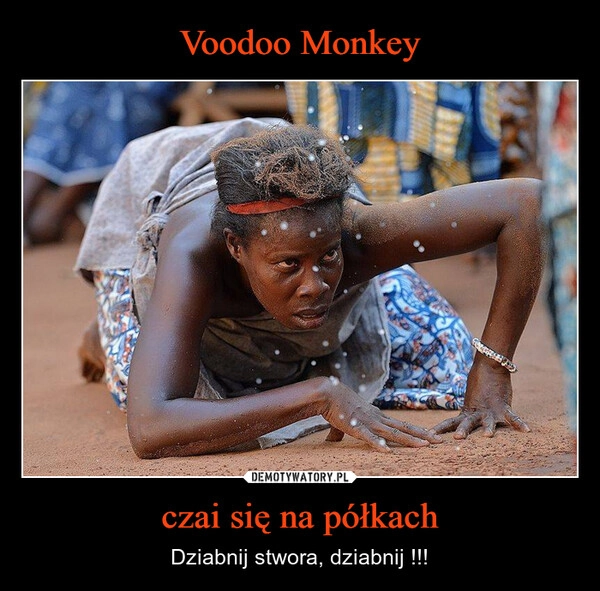 
    Voodoo Monkey czai się na półkach