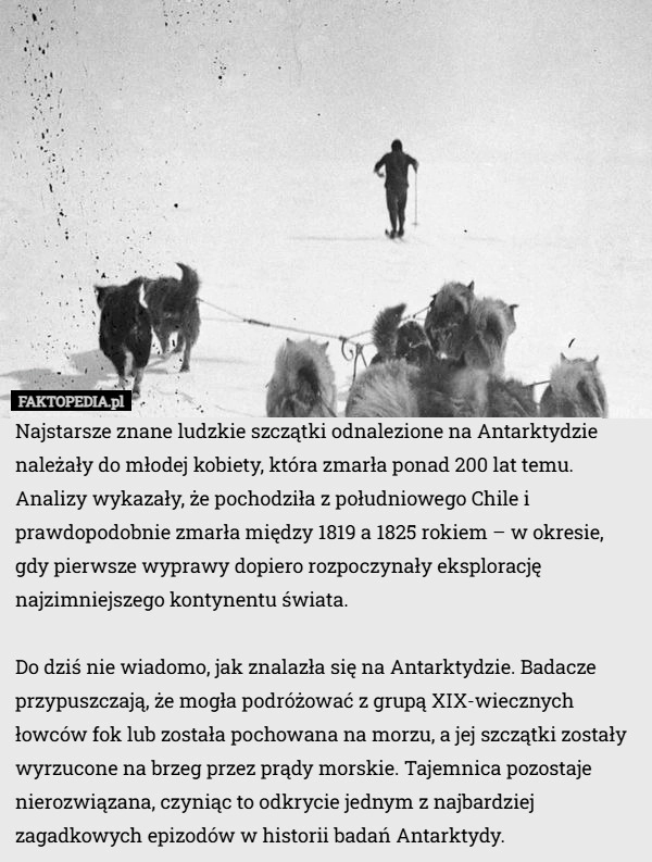 
    Najstarsze znane ludzkie szczątki odnalezione na Antarktydzie należały do