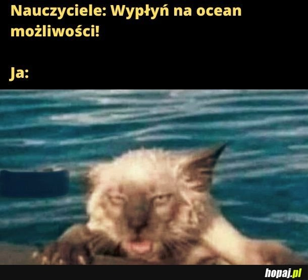 
    Wolałbym nie. 