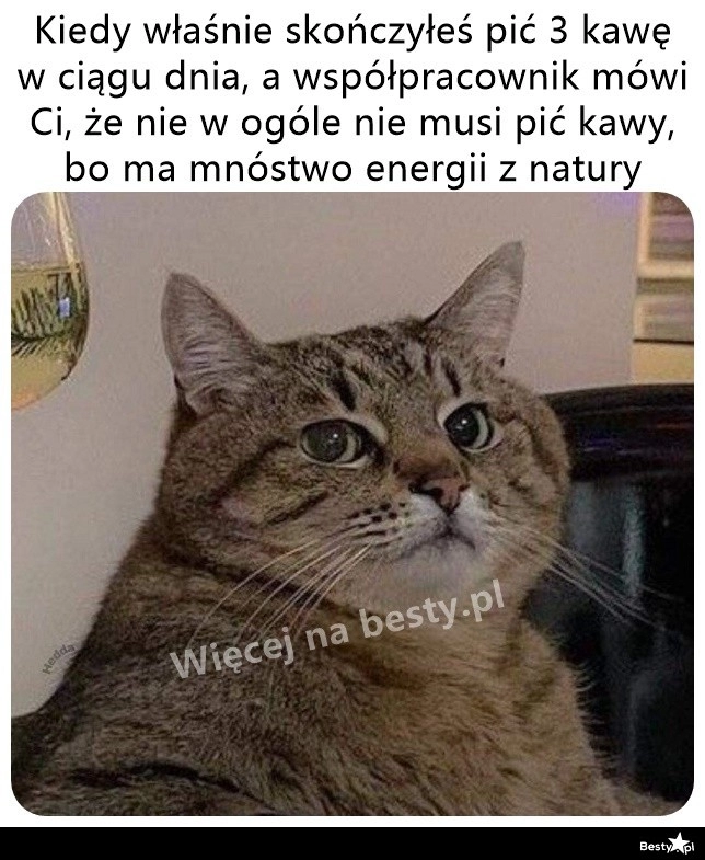 
    Życie bez kawy 