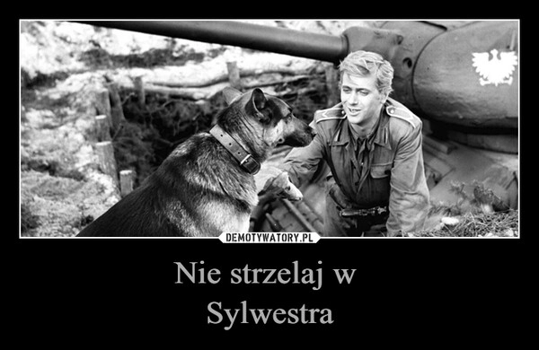 
    
Nie strzelaj w
Sylwestra 