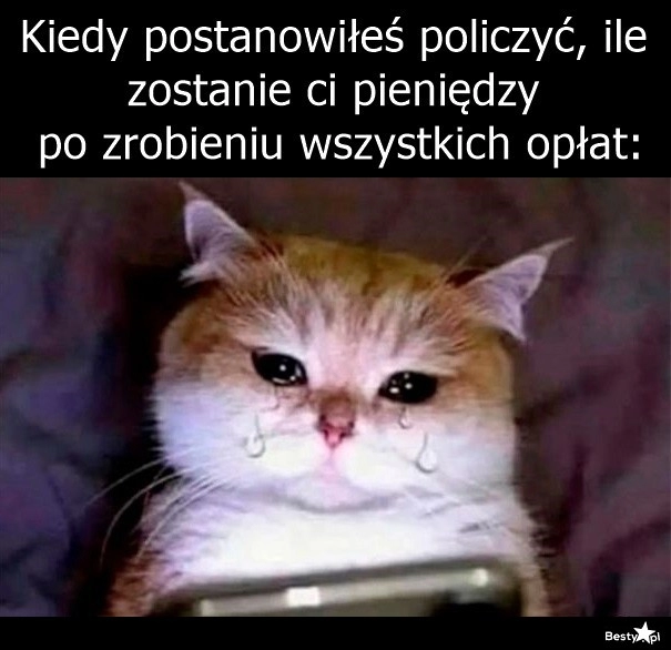 
    Opłaty 