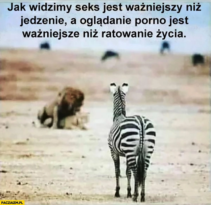 
    Jak widzimy współżycie jest ważniejsze niż jedzenie a oglądanie filmów dla dorosłych jest ważniejsze niż ratowanie życia