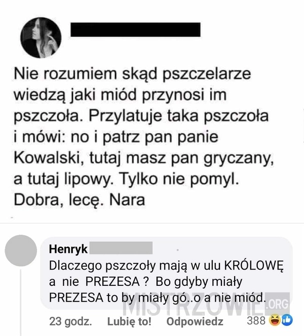 
    Pszczoła