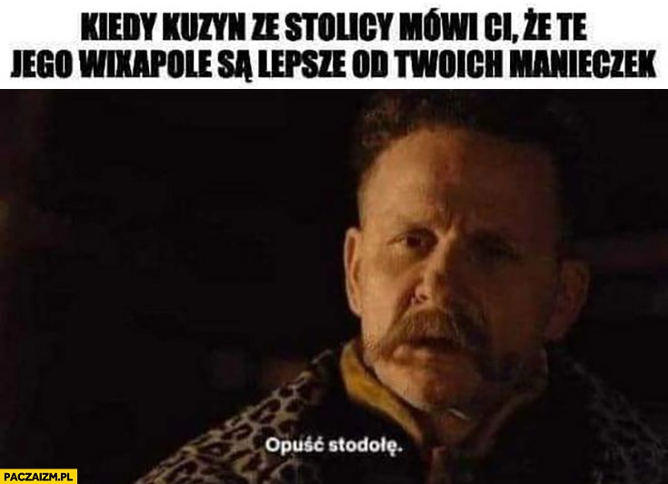 
    Kiedy kuzyn ze stolicy mówi Ci, że te jego wixapole są lepsze od twoich manieczek opuść stodołę 1670