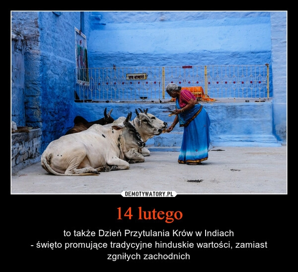 
    14 lutego