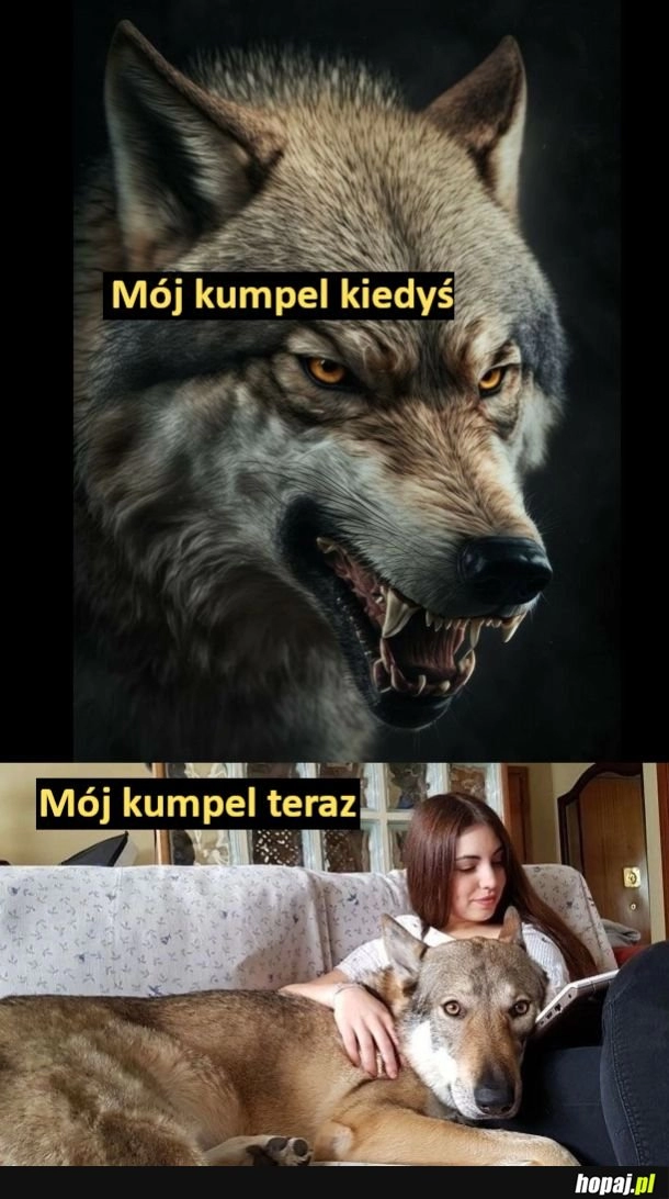 
    Kumplu, co się z tobą stało