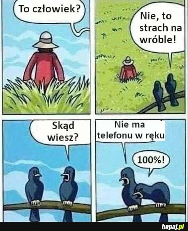 
    Strach na wróble