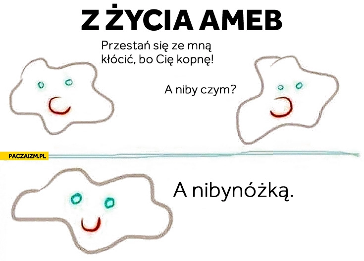 
    Z życia ameb kopnę Cię a nibynóżką