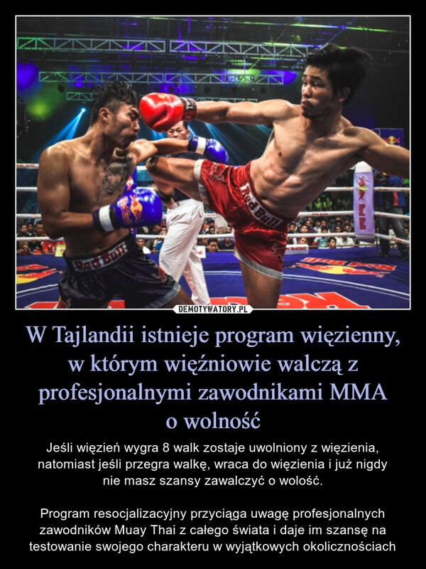 
    W Tajlandii istnieje program więzienny, w którym więźniowie walczą z profesjonalnymi zawodnikami MMA
o wolność