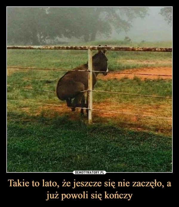 
    Takie to lato, że jeszcze się nie zaczęło, a już powoli się kończy