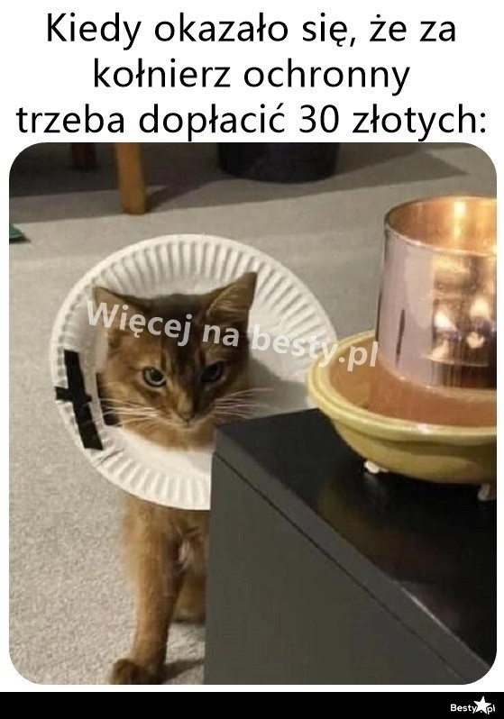 
    Ogarnięte 