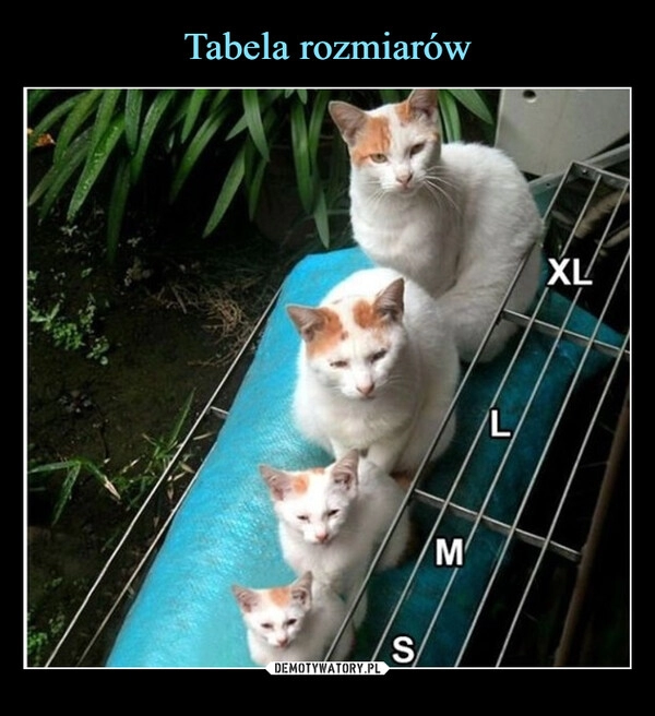 
    Tabela rozmiarów