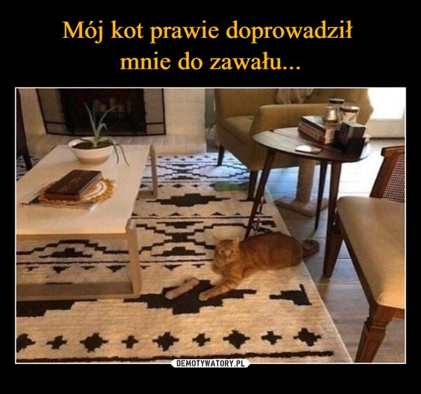 
    Mój kot prawie doprowadził 
mnie do zawału...