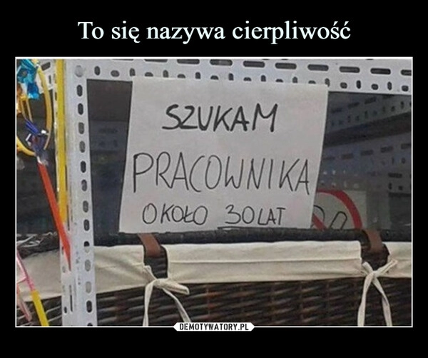 
    To się nazywa cierpliwość