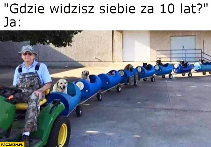 
    Gdzie widzisz siebie za 10 lat? Traktor z psami w wagonikach