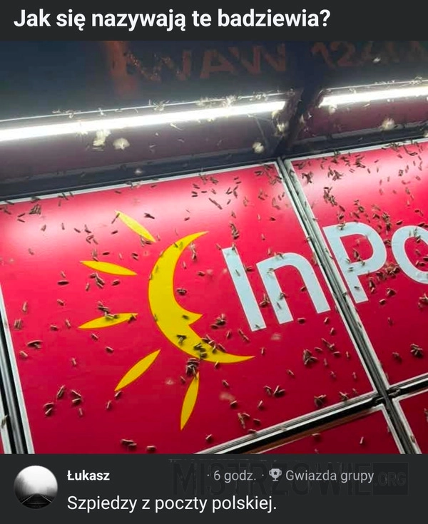 
    Paczkomat