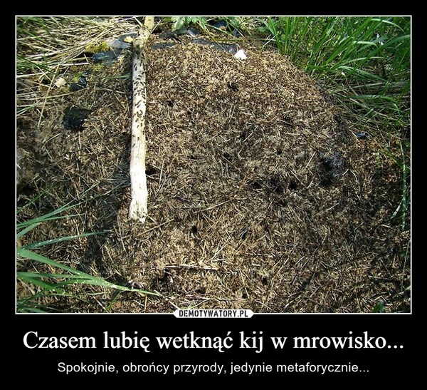 
    Czasem lubię wetknąć kij w mrowisko...