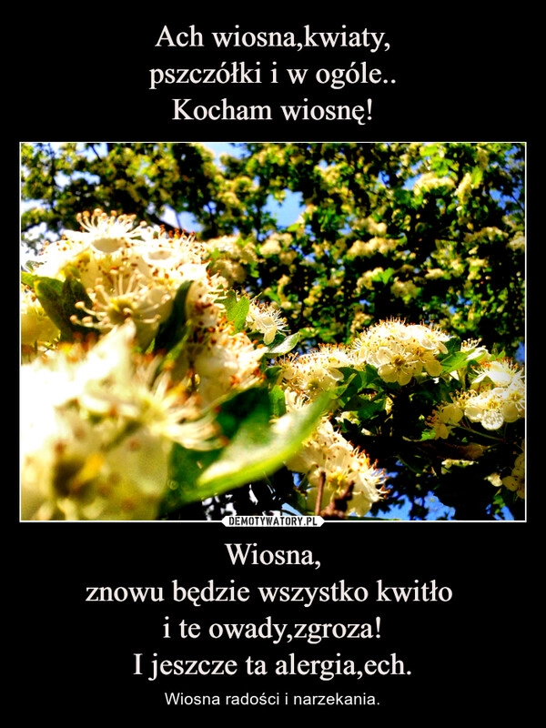 
    Ach wiosna,kwiaty,
pszczółki i w ogóle..
Kocham wiosnę! Wiosna,
znowu będzie wszystko kwitło 
i te owady,zgroza!
I jeszcze ta alergia,ech.